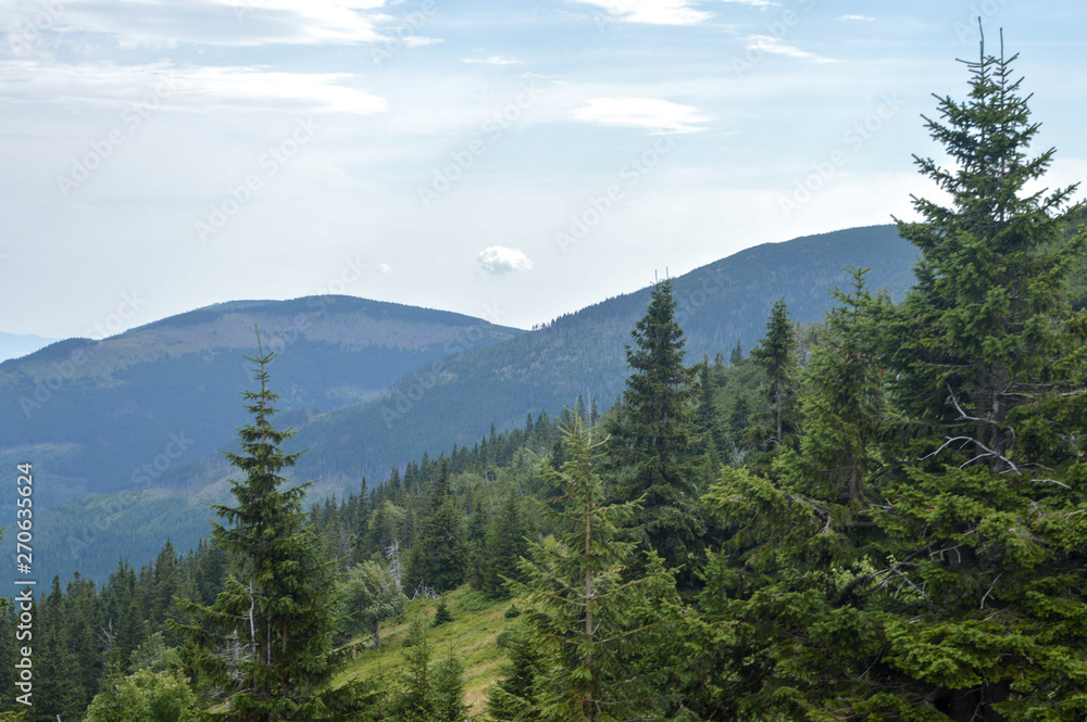 Fototapeta premium Mountain landscape