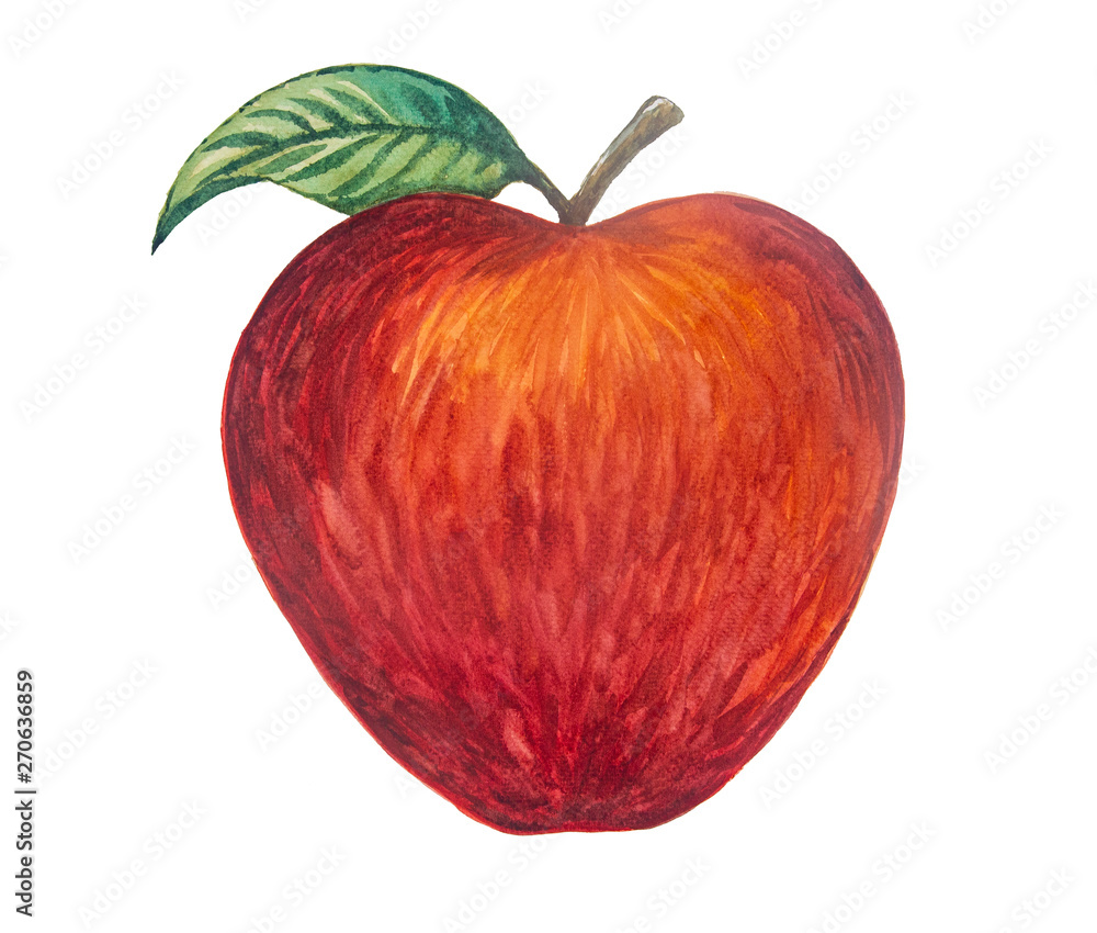 Apple picture and painted with watercolor. Apple picture and painted with watercolor.