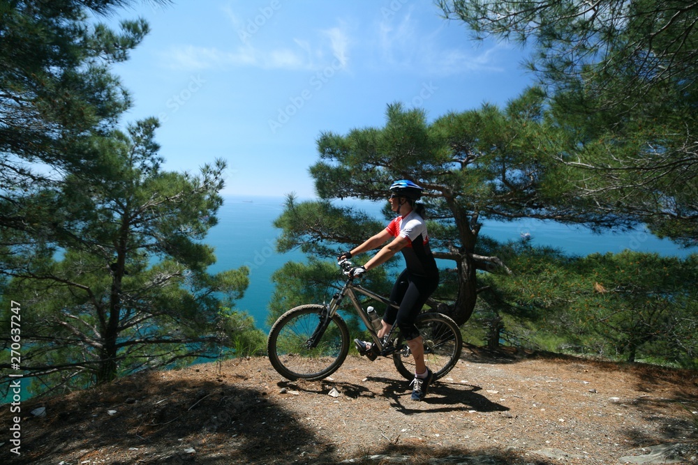 Naklejka premium Cyclist in cedar forest on the Black sea coast, Russia.