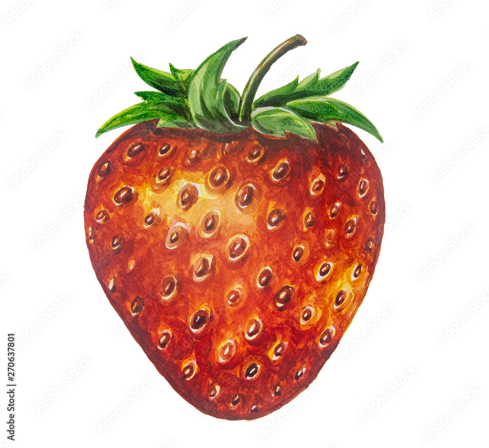 Fototapeta premium Strawberry fruit painting.Painted with watercolor.