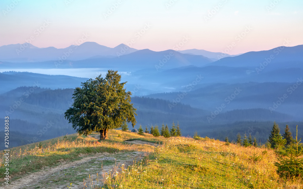 Obraz premium Lonely tree on the top of a hill against the background of mountain silhouettes in the early morning, peaceful landscape