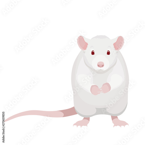Cartoon white rat vector illustration. Cute sitting albino rat isolated on white background.