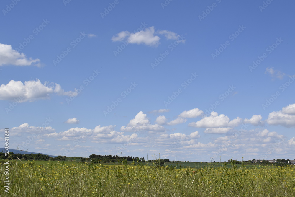 Fototapeta premium Picture