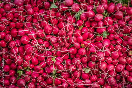 Radishes photo