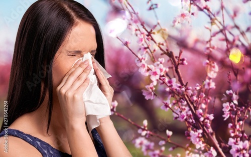 Photography Allergy.