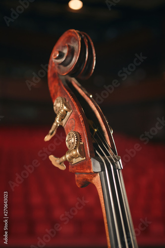 Double bass close-up