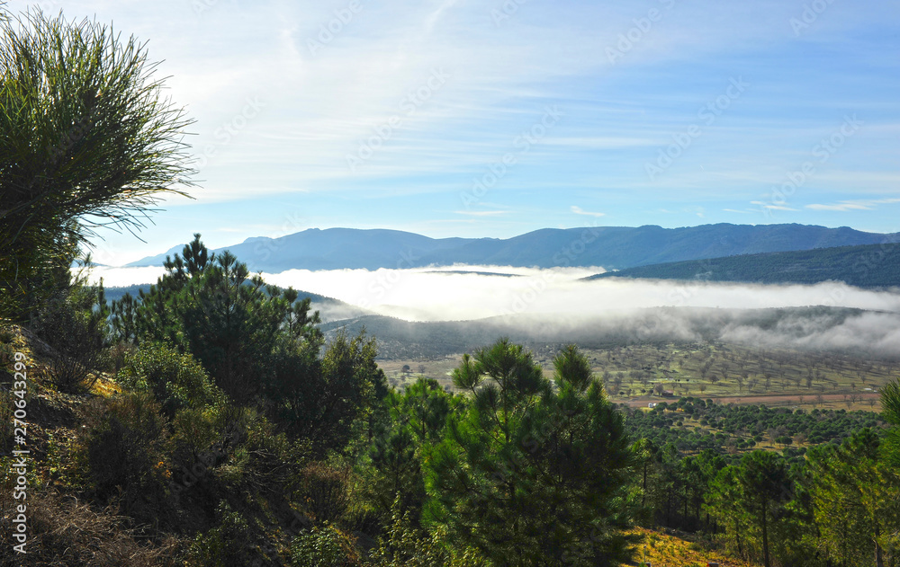 Fog at the Natural Park of the Valley of Alcudia and Sierra Madrona, province of Ciudad Real, Castilla la Mancha region, Spain