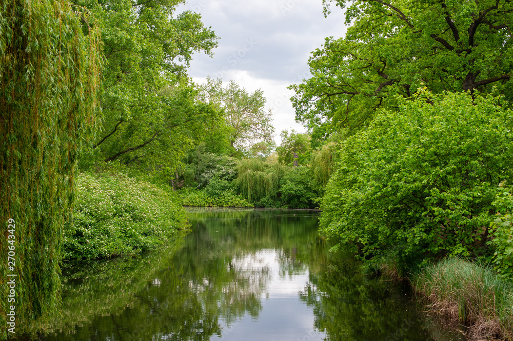 Fototapeta premium Pond surrounded by trees