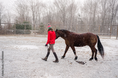 teen girl with holiday hat  and red sweater leading her horse outside in the snow photo