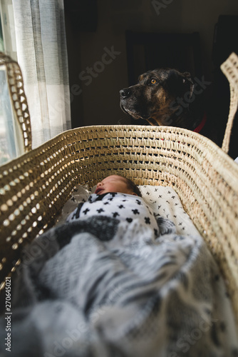 Napping with man's best friend as a protector photo