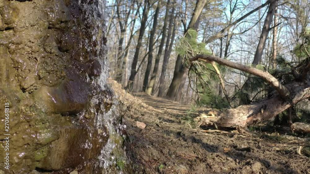 Forest with waterfall stream 4K drone video