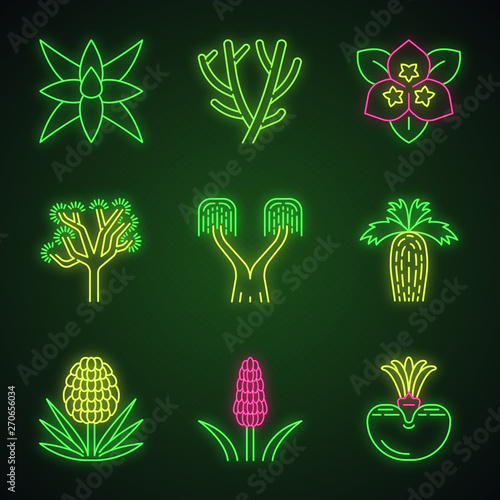 Desert plants neon light icons set