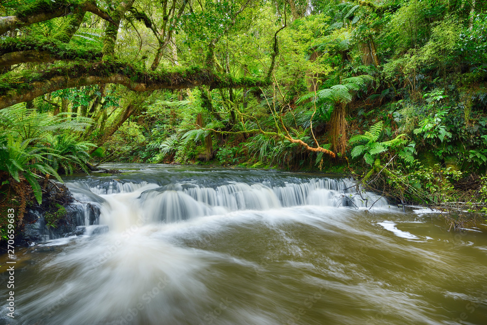 New Zealand, South Island, Catlins, Purakaunui Falls New Zealand, South Island, Catlins, Purakaunui Falls