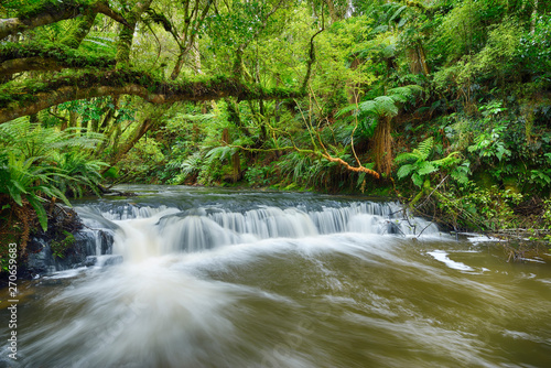 New Zealand, South Island, Catlins, Purakaunui Falls photo