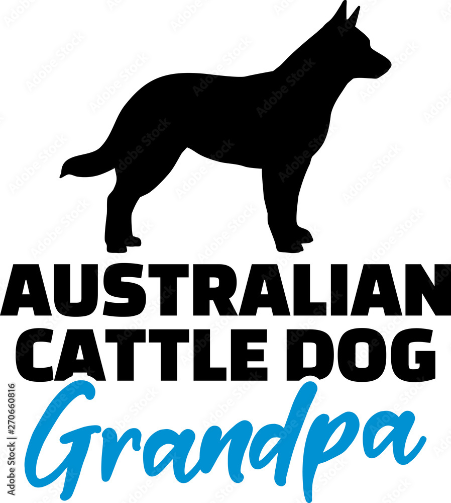 Australian Cattle Dog Grandpa with silhouette