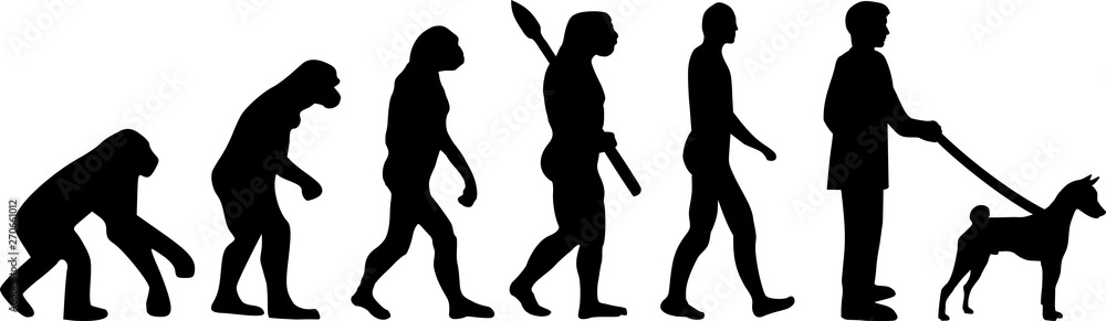 Basenji Evolution silhouette Basenji Evolution silhouette