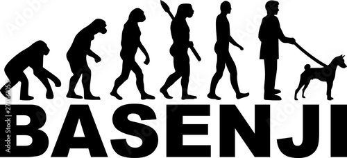 Basenji Evolution with name