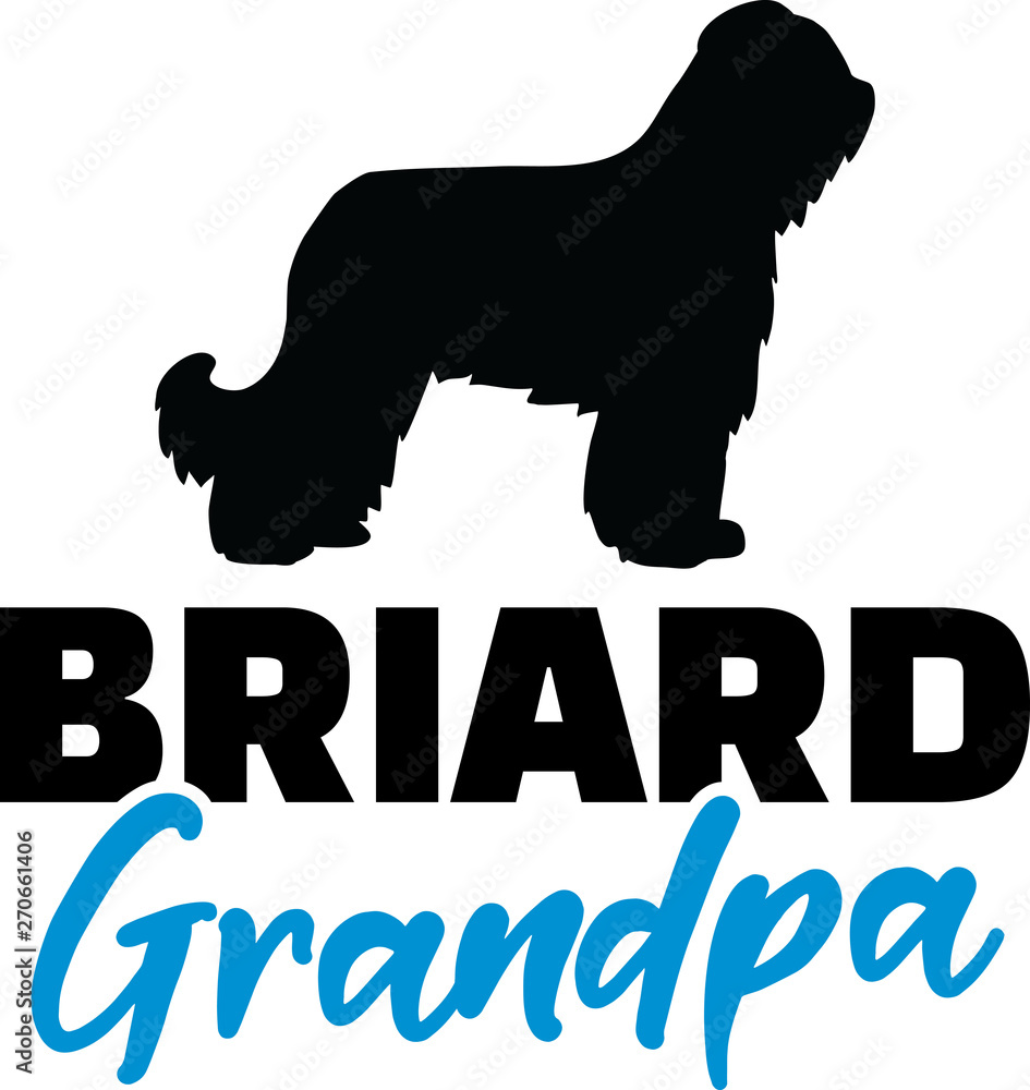 Briard Grandpa with silhouette Briard Grandpa with silhouette