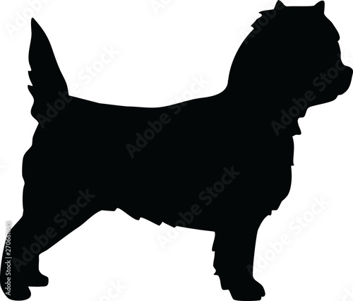 Konstfotografi Cairn Terrier silhouette