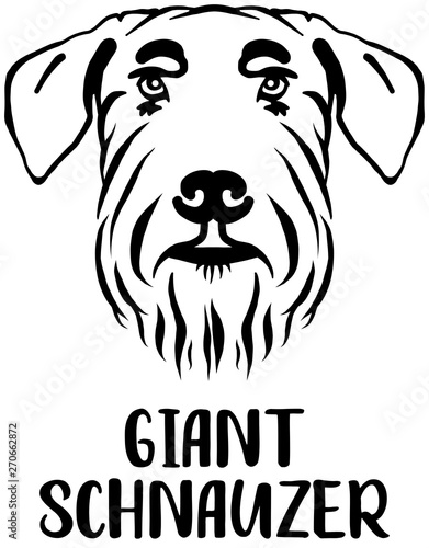 Giant Schnauzer head with name