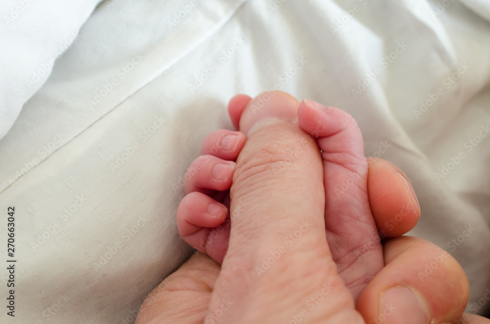 Hand of newborn baby holding male adults finger. Concept of help and family. Father holding hand. Hand of newborn baby holding male adults finger. Concept of help and family. Father holding hand.