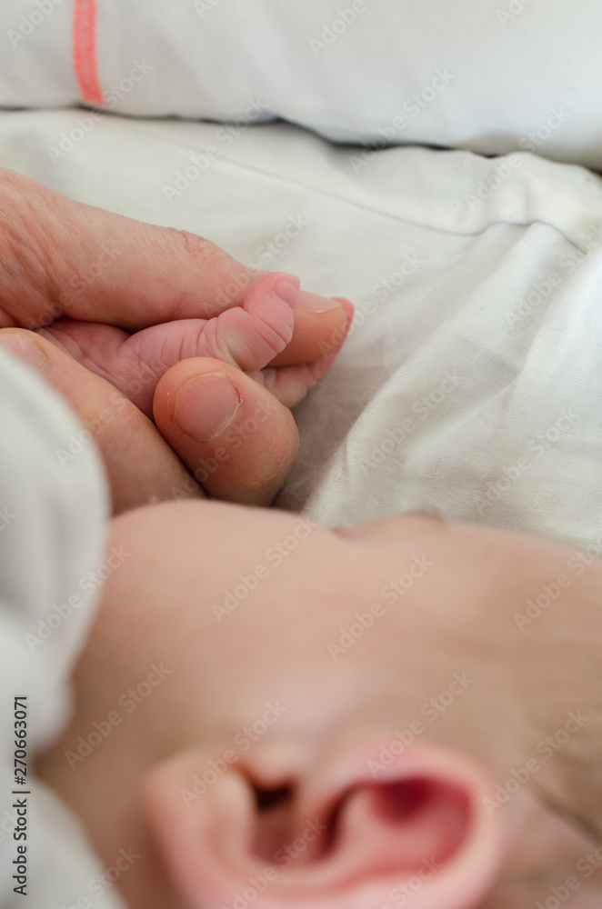 Hand of newborn baby holding male adults finger. Concept of help and family. Father holding hand. Hand of newborn baby holding male adults finger. Concept of help and family. Father holding hand.