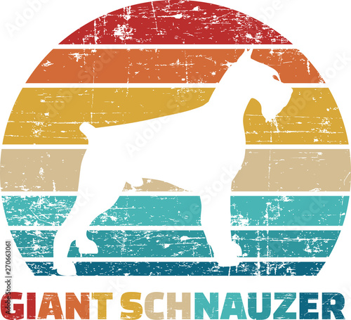 Giant Schnauzer vintage