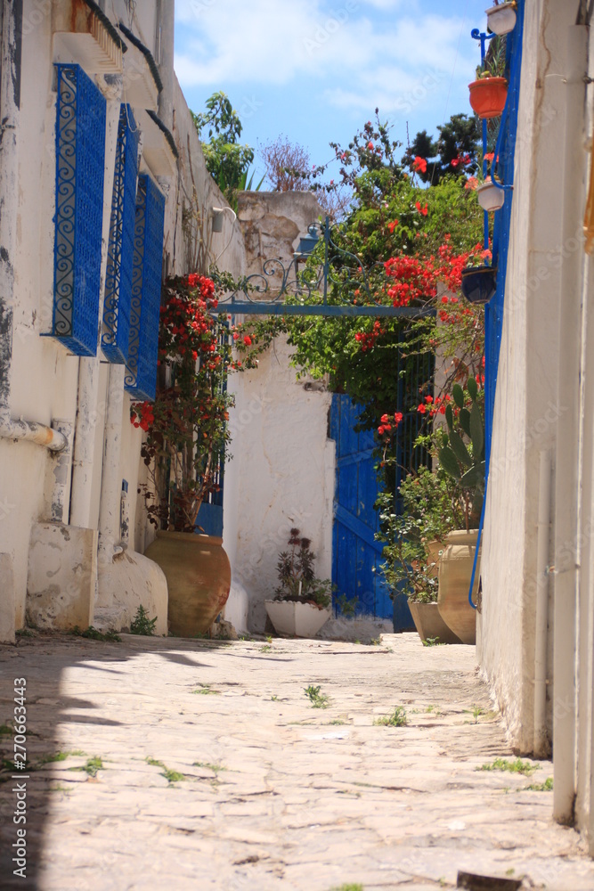 petite ruelle fleurie de Sidi Bou Saïd