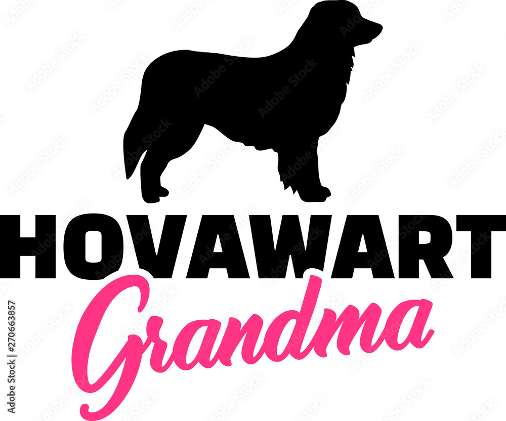 Hovawart Grandma with silhouette