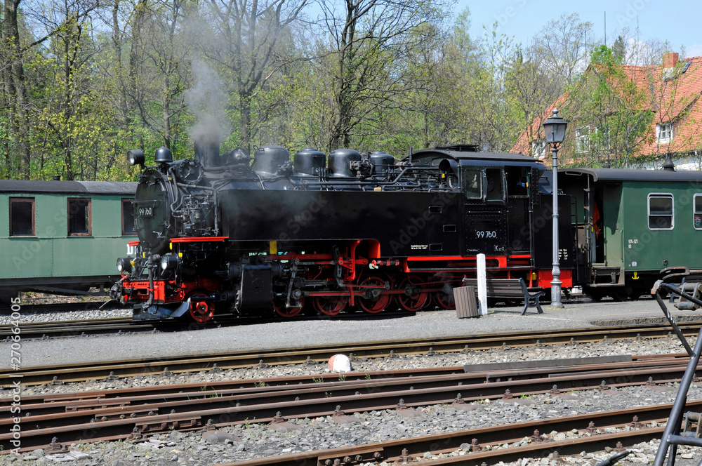 Naklejka premium kolejka wąskotorowa zittau, stacja Bertsdorf