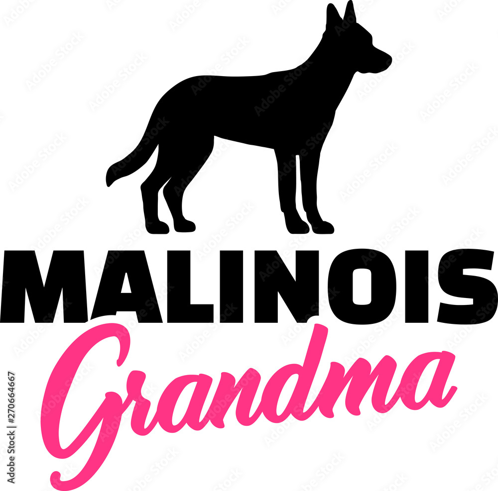 Malinois Grandma with silhouette