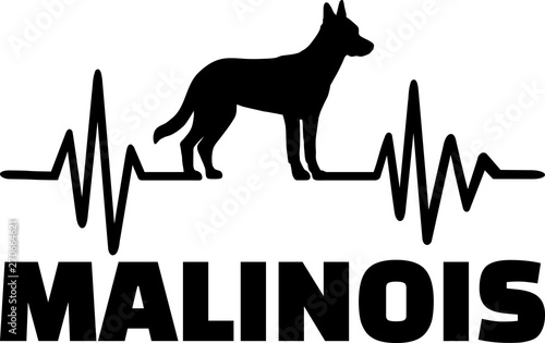 Malinois frequency silhouette