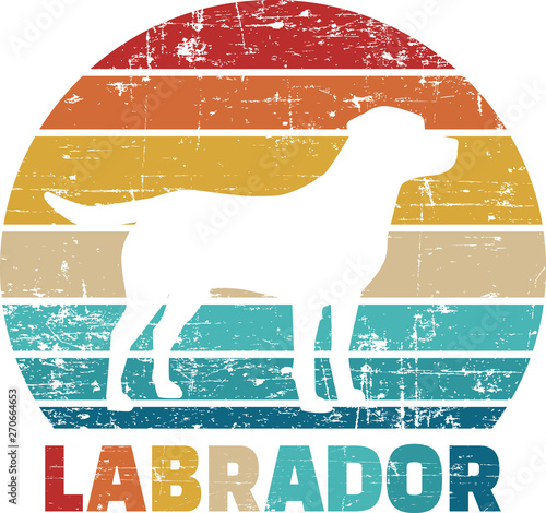 Labrador vintage retro