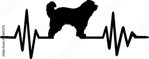 Pyrenees Shepherd frequency silhouette