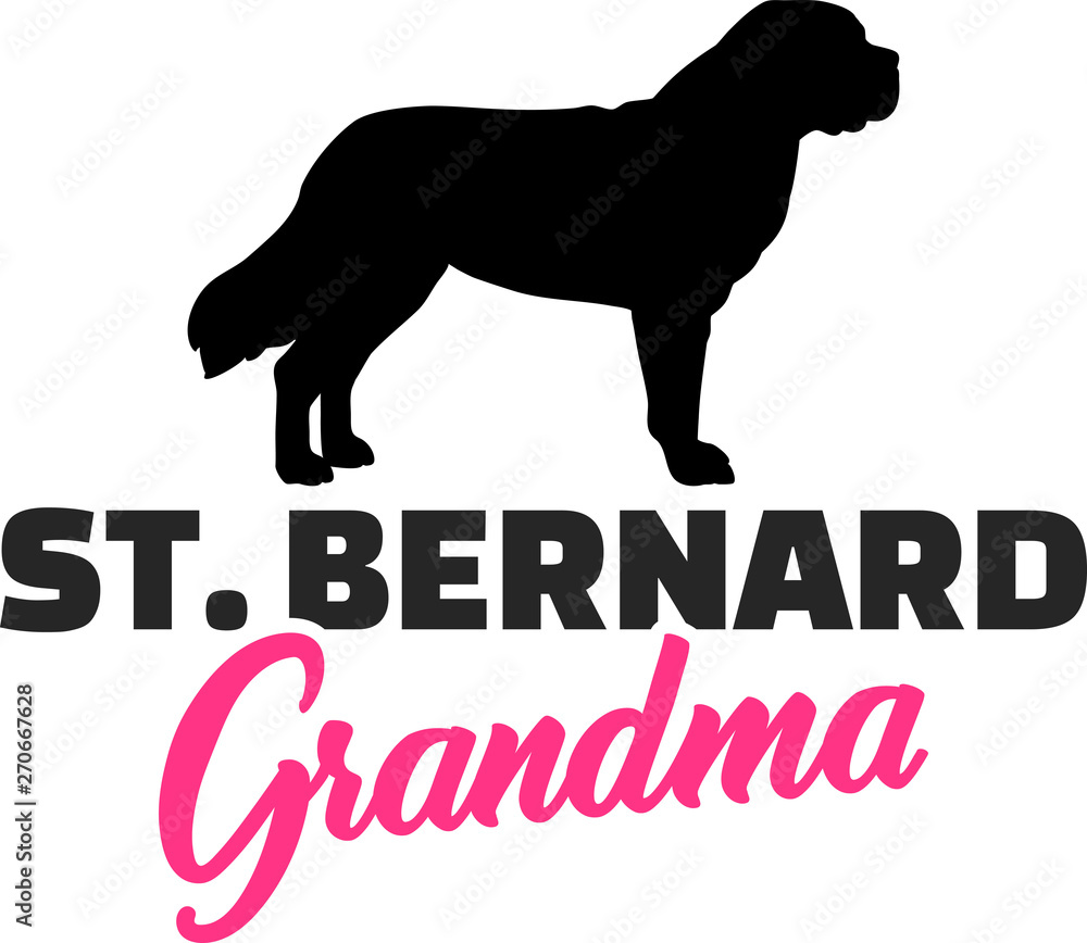 Saint Bernard Grandma with silhouette