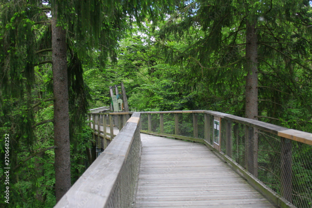 Obraz premium neuschönau