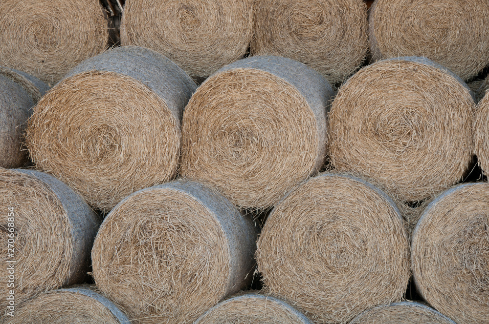 Round haystacks in storage under the roof of the barn. Agricultural harvesting hay for the winter. Winter feed for cows. Round haystacks in storage under the roof of the barn. Agricultural harvesting hay for the winter. Winter feed for cows.