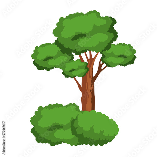 leafy tree and shruberry icon photo