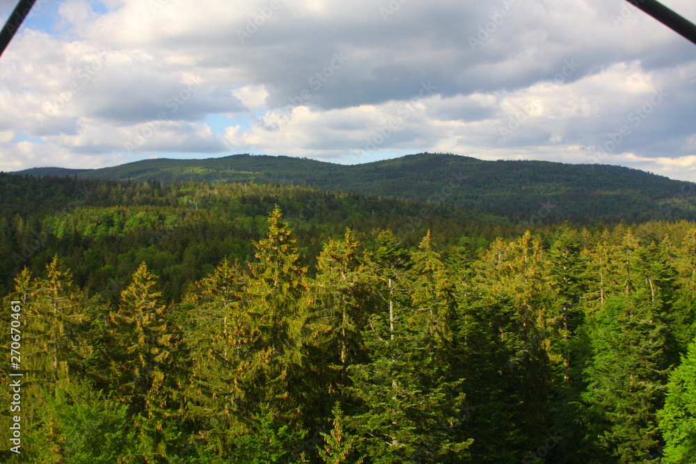 Obraz premium neuschönau