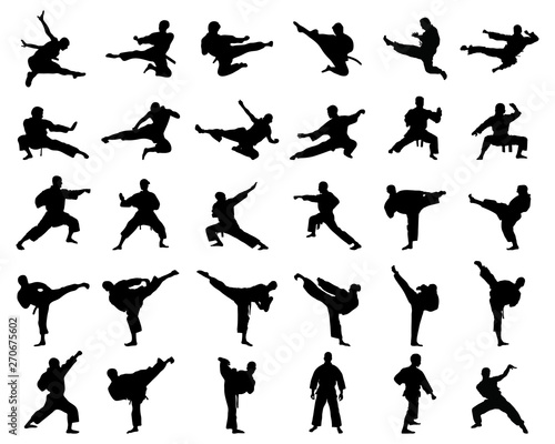 Black silhouettes of karate fighting  on a white background photo