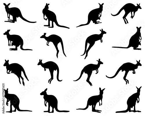 Black silhouettes of kangaroo on a white background photo