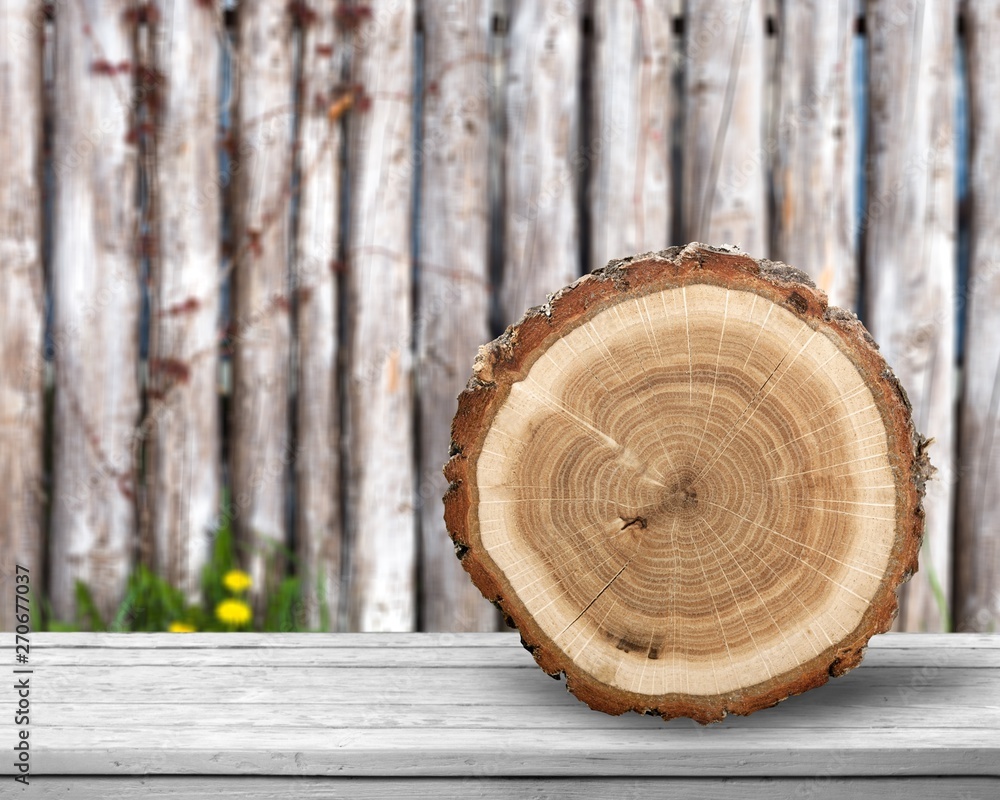 Wooden log isolated on white background Wooden log isolated on white background