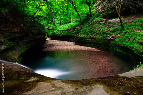 beginning of the river in the forest