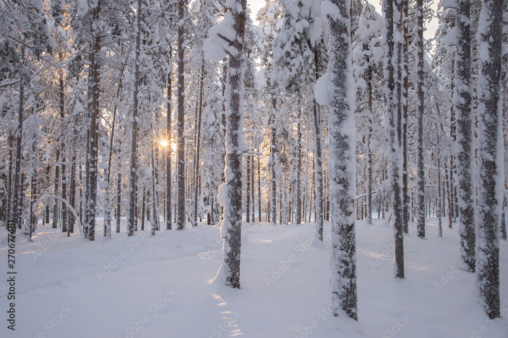 Snowy landscape in Lapland Snowy landscape in Lapland