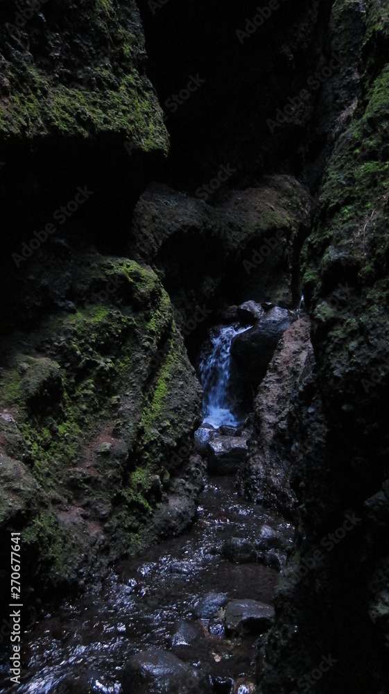 Obraz premium waterfall in the forest