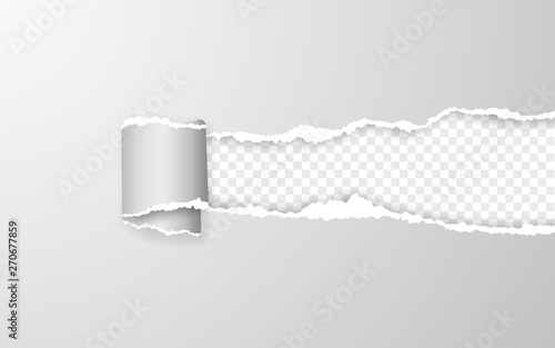 Realistic torn and twisted paper strip. Torn paper edge. Vector illustration