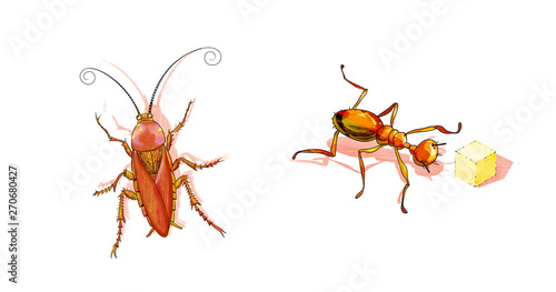Insects. Ant and a lump of sugar. Cockroach Races. Humorous illustration