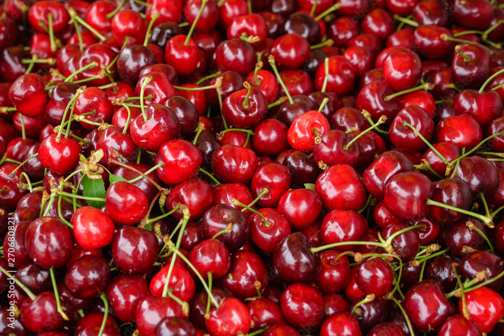 Pile of cherry fruit ready for sorting, red cherry fruits 