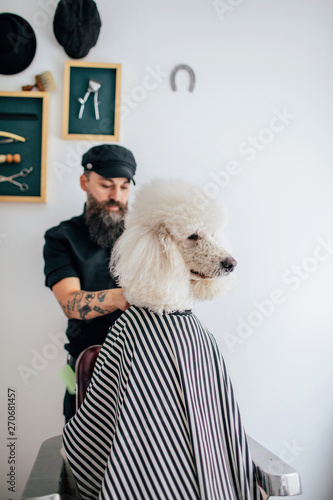 At the Barber's photo