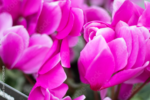 Assorted flowers 